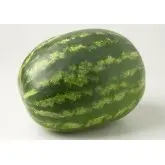 Seminte pepene verde Splendid F1