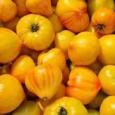 Seminte tomate Gourmansun F1 (HMC44171)