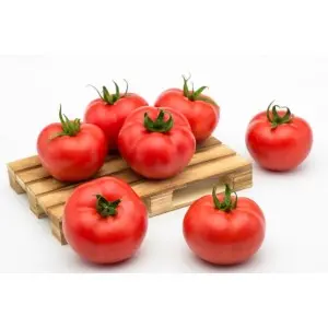 Seminte tomate Hayet F1