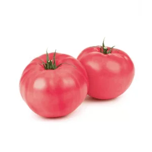 Seminte tomate Oriental Magic F1