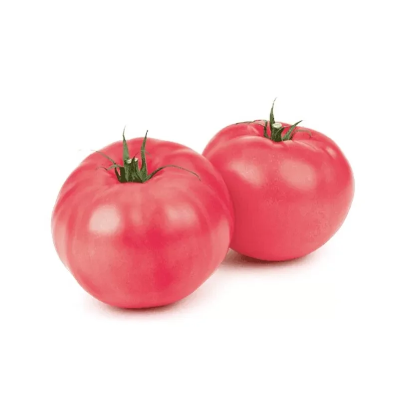 Seminte tomate Oriental Magic F1