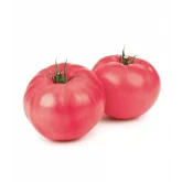 Seminte tomate Oriental Magic F1