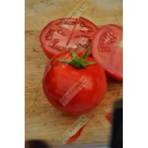 Seminte tomate Reyana F1 Seminte tomate Reyana F1