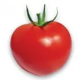 Seminte tomate Korall