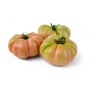 Seminte tomate Rosamei F1