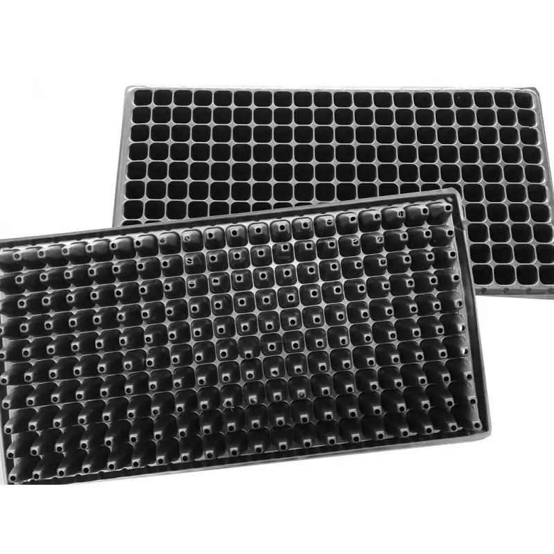 Alveole rasaduri 200 celule patrate OZ-KA Vakum 2 cm, grosime 1 mm