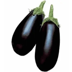 Seminte vinete Black Dragon F1