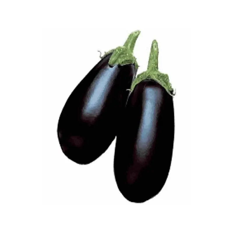 Seminte vinete Black Dragon F1