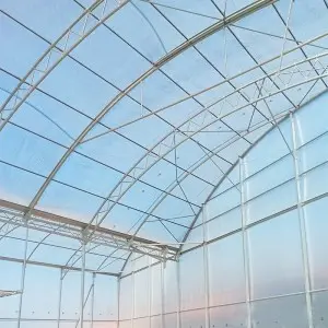 Folie solar Politiv PolyEco E2358 difuza, 150 microni
