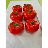 Seminte tomate Canova F1