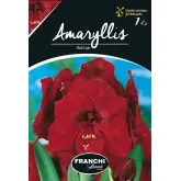 Bulbi amaryllis Red Lion, 1 bulb