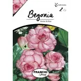 Bulbi begonia Bouton de Rose, 2 bulbi