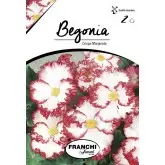 Bulbi begonia Crispa Marginata, 2 bulbi