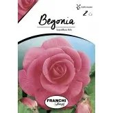 Bulbi begonia Grandiflora Pink, 2 bulbi