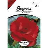 Bulbi begonia Grandiflora Red, 2 bulbi