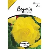 Bulbi begonia Grandiflora Yellow, 2 bulbi