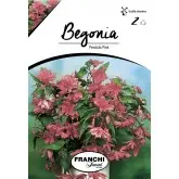 Bulbi begonia Pendula Pink, 2 bulbi