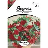 Bulbi begonia Pendula Red, 2 bulbi