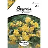 Bulbi begonia Pendula Yellow, 2 bulbi