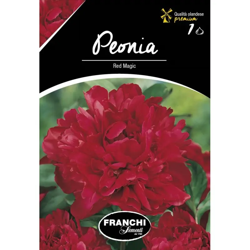 Rizomi bujori Red Magic, 1 bulb