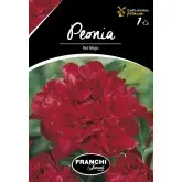 Rizomi bujori Red Magic, 1 bulb