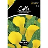 Bulbi cala Black Magic, 1 bulb