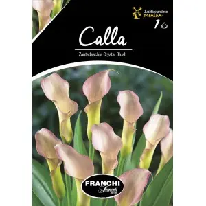 Bulbi cala Crystal Blush, 1 bulb