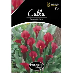 Bulbi cala Flame, 1 bulb