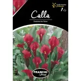 Bulbi cala Flame, 1 bulb