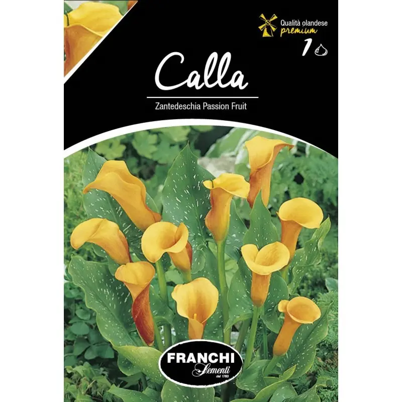 Bulbi cala Passion Fruit, 1 bulb
