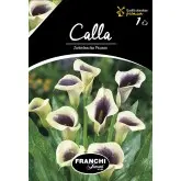 Bulbi cala Picasso, 1 bulb