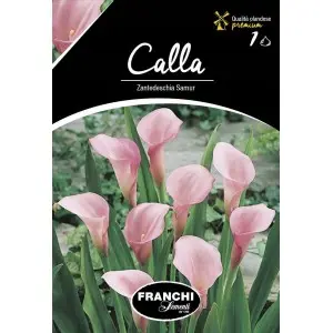 Bulbi cala Samur, 1 bulb