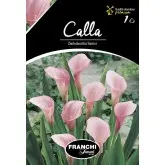 Bulbi cala Samur, 1 bulb