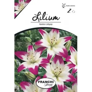 Bulbi crin asiatic Lollypop, 2 bulbi