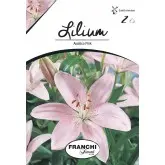 Bulbi crin asiatic Pink, 2 bulbi
