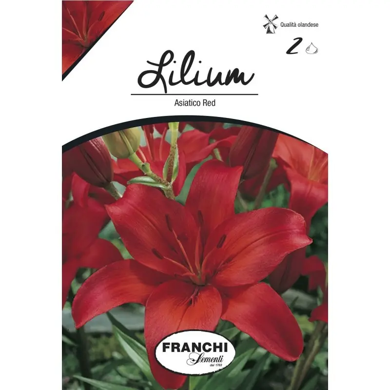 Bulbi crin asiatic Red, 2 bulbi