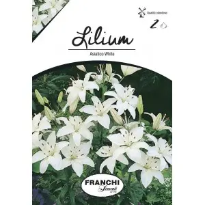 Bulbi crin asiatic White, 2 bulbi