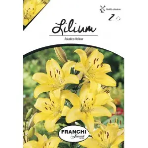 Bulbi crin asiatic Yellow, 2 bulbi