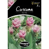 Bulbi curcuma Rosa Pink, 1 bulb