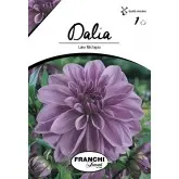 Bulbi dalia decorativa Lake Michigan, 1 bulb
