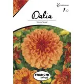 Bulbi dalia decorativa Tropical Sunset, 1 bulb