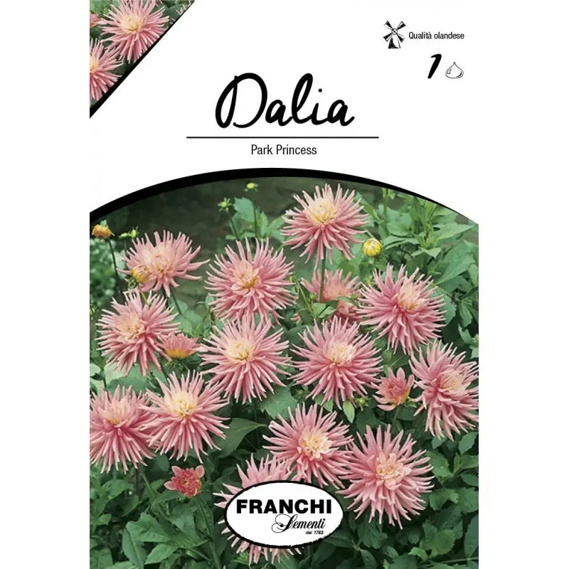 Bulbi dalia pitica Park Princess, 1 bulb