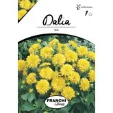 Bulbi dalia pitica Sisa, 1 bulb