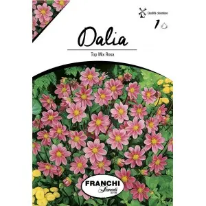 Bulbi dalia pitica Top Mix Pink, 1 bulb