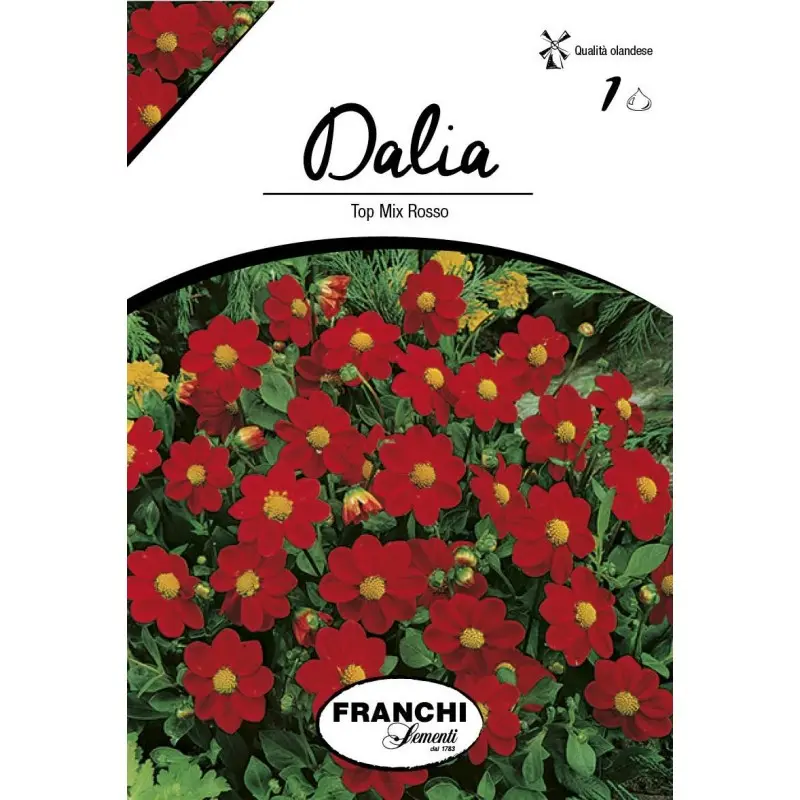 Bulbi dalia pitica Top Mix Red, 1 bulb