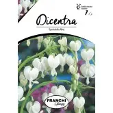 Bulbi dicentra Spectabilis Alba, 1 bulb