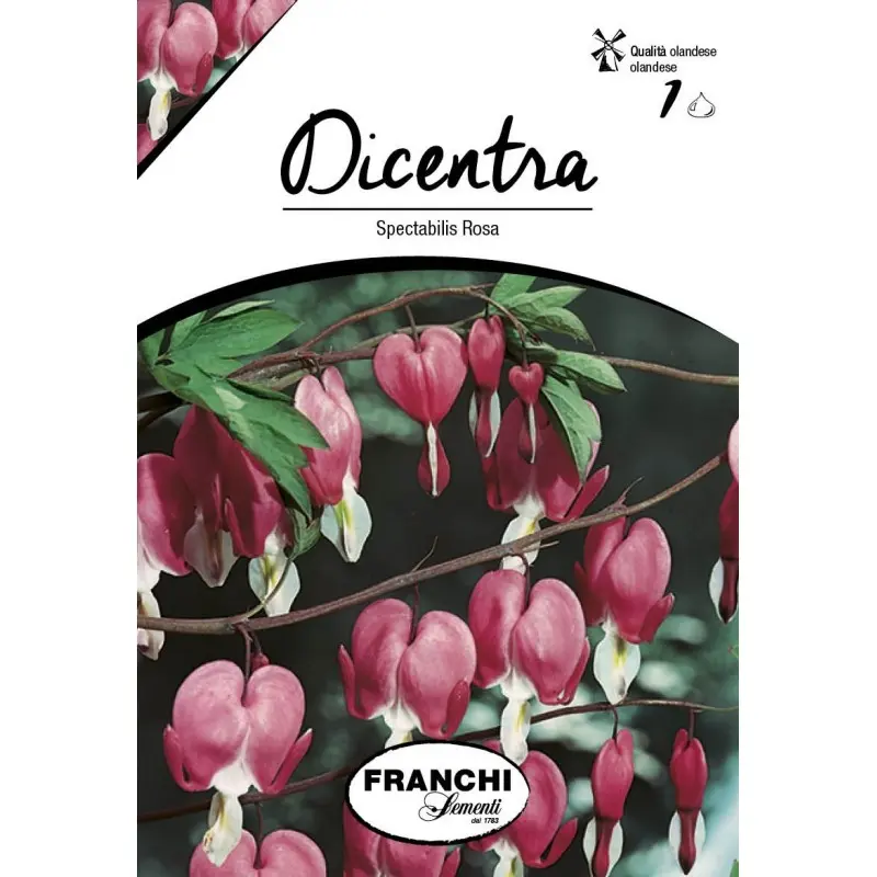 Bulbi dicentra Spectabilis Rosa, 1 bulb