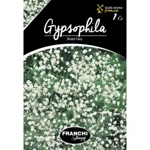 Rizomi floarea miresei Bristol Fairy, 1 bulb