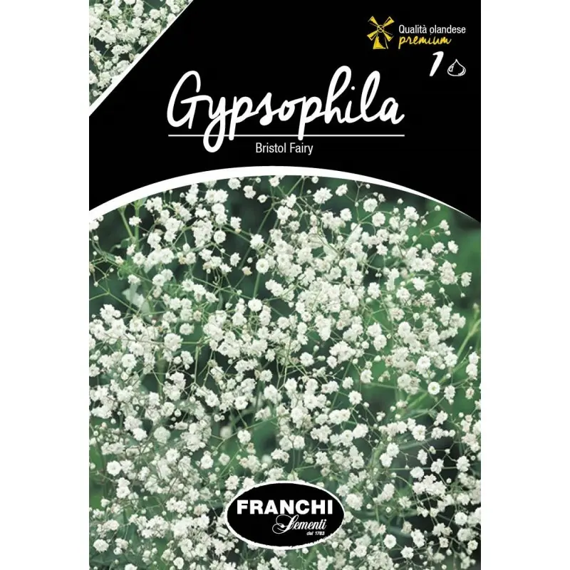Rizomi floarea miresei Bristol Fairy, 1 bulb