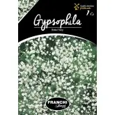 Rizomi floarea miresei Bristol Fairy, 1 bulb
